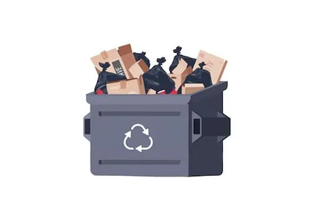 Whole Lotta Junk Services