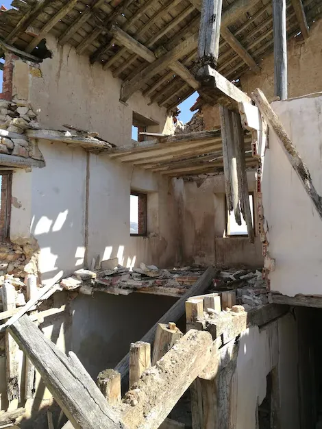 Whole Lotta Junk Services