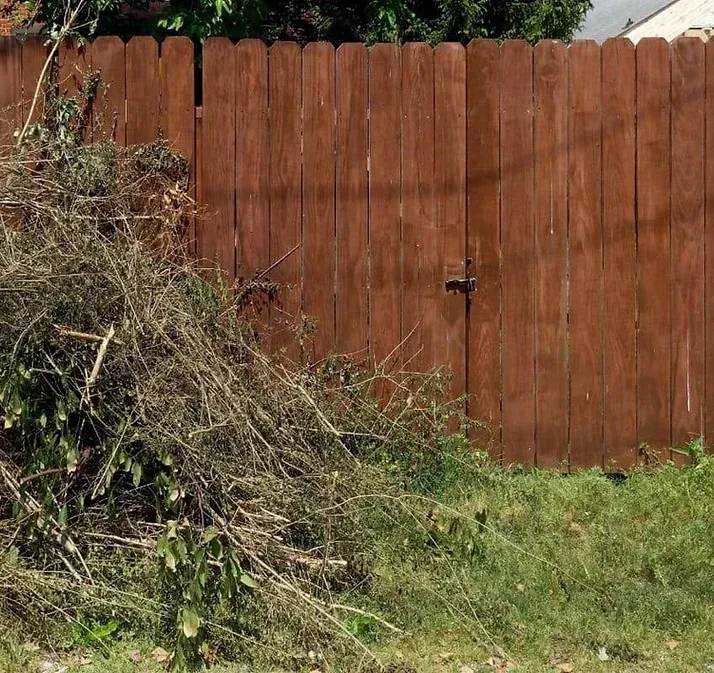 Whole Lotta Junk Services