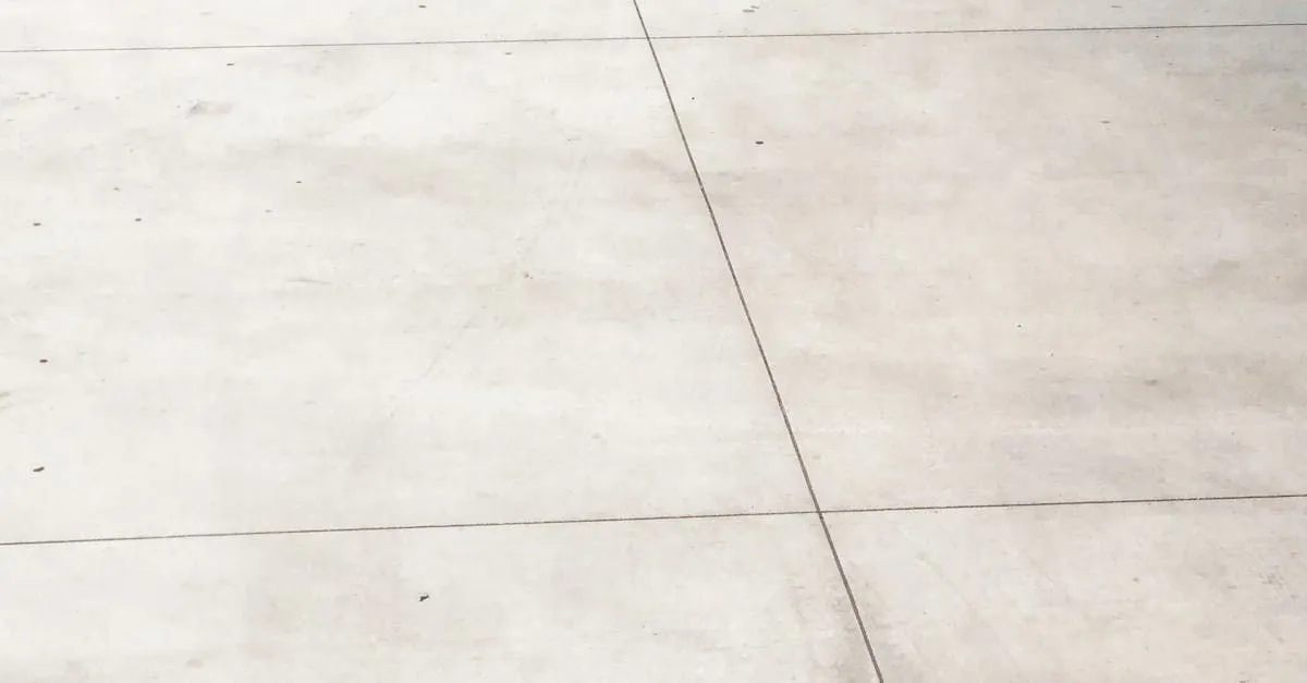 Whole Lotta Junk Services