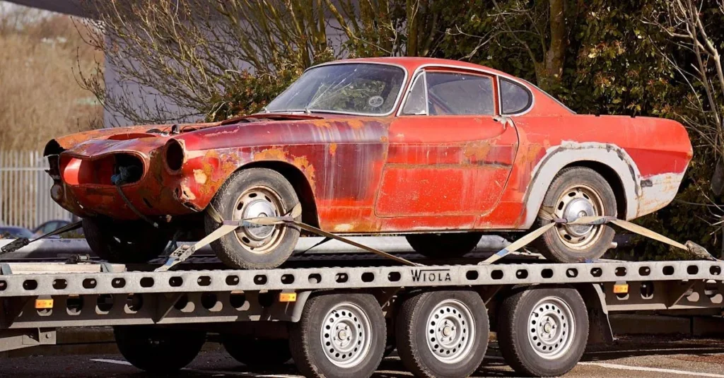 Whole Lotta Junk Services