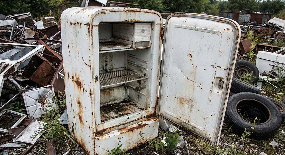 Whole Lotta Junk Services